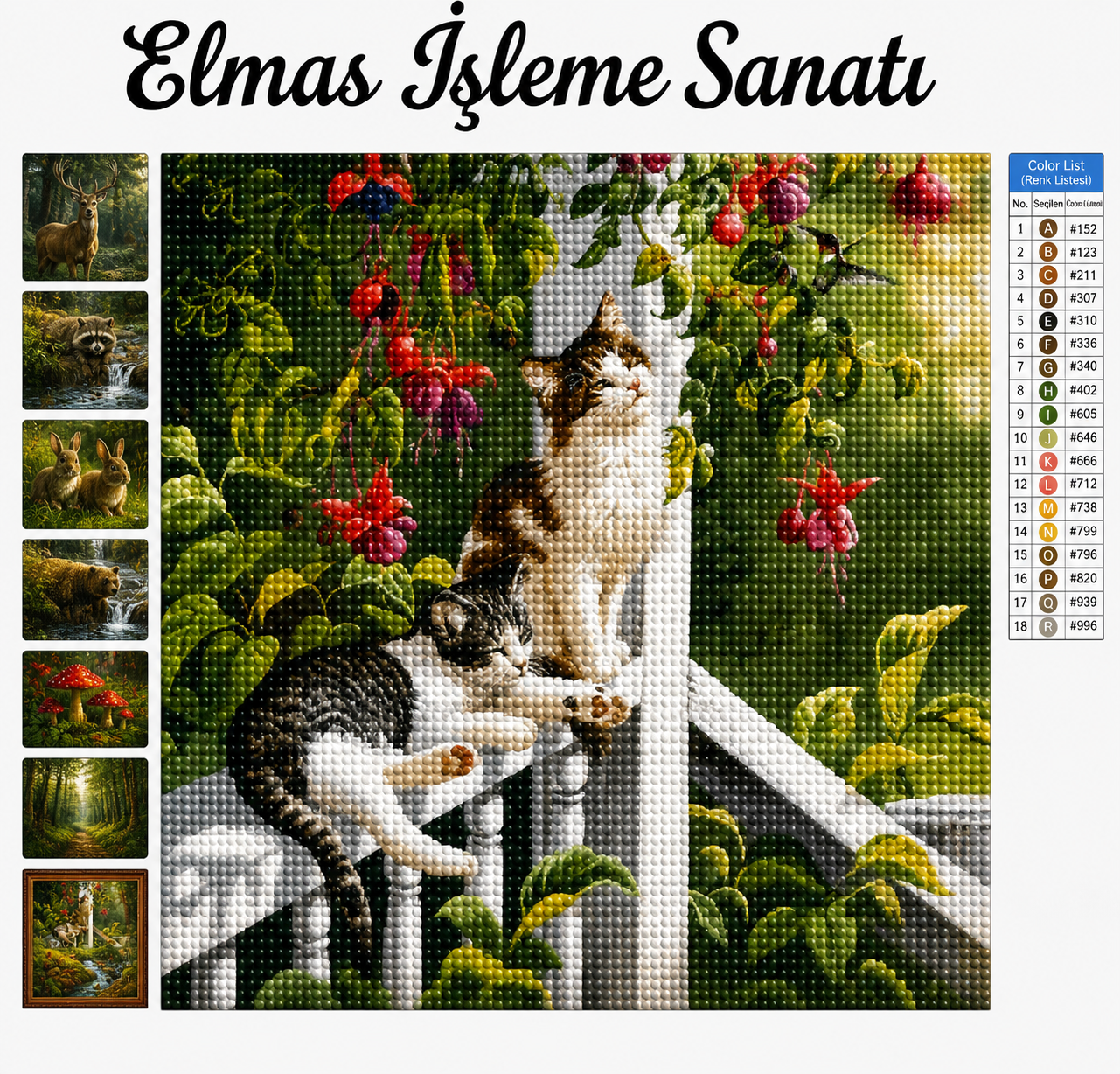 Sevimli Bahçe Kedileri 50x65Cm