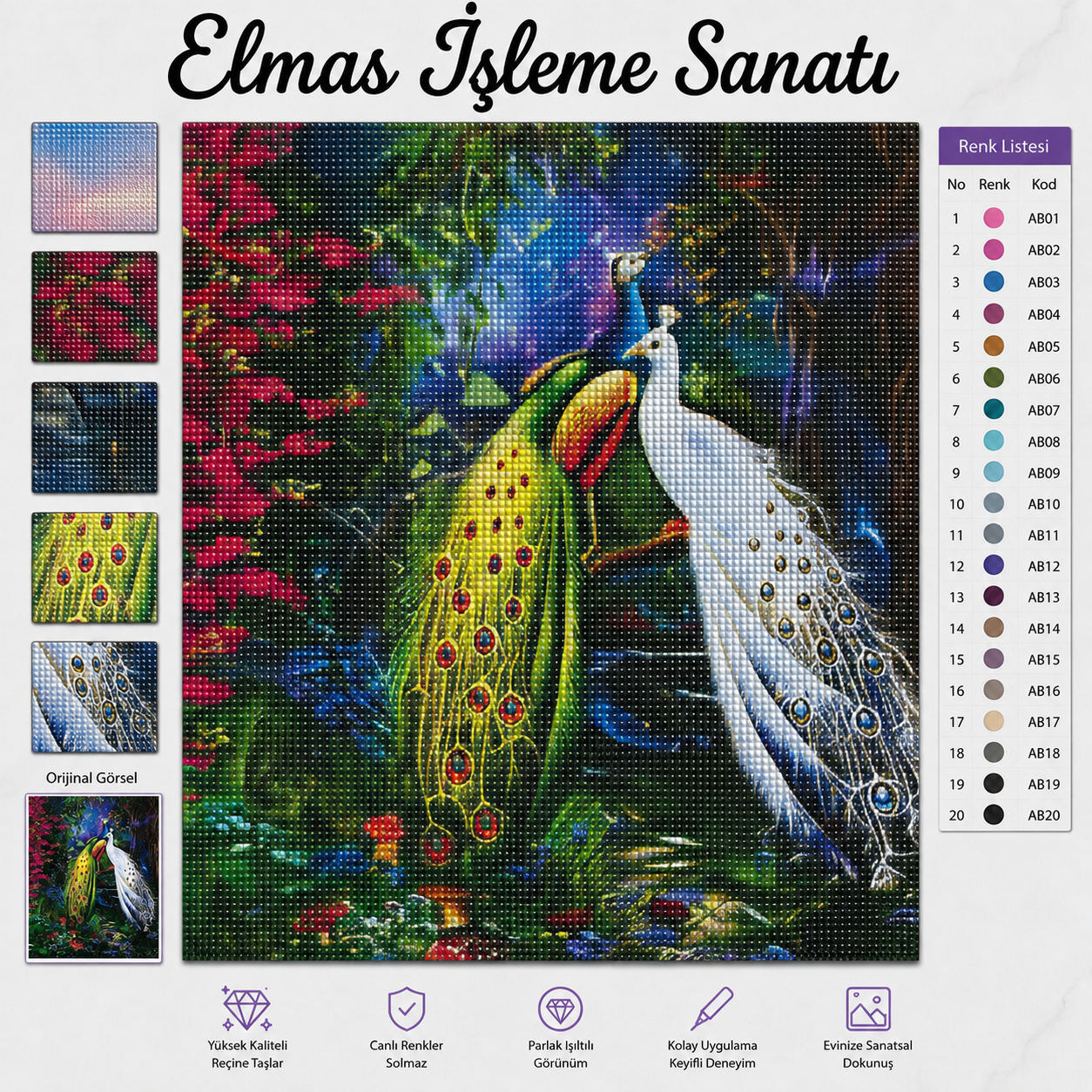 Tavus Kuşu İhtişamı 40x50
