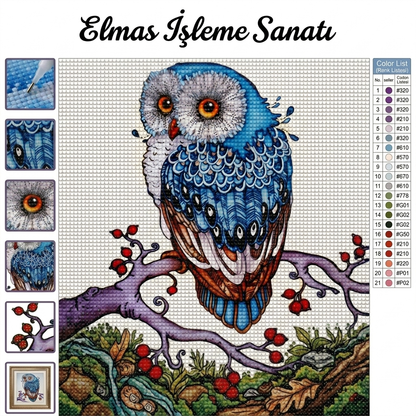Safir Baykuş 30x30 cm